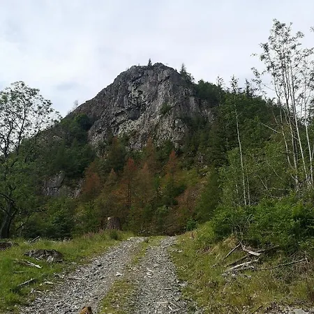 Shepherds Hut Dolly Wagon *