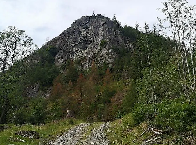 Shepherds Hut Dolly Wagon *